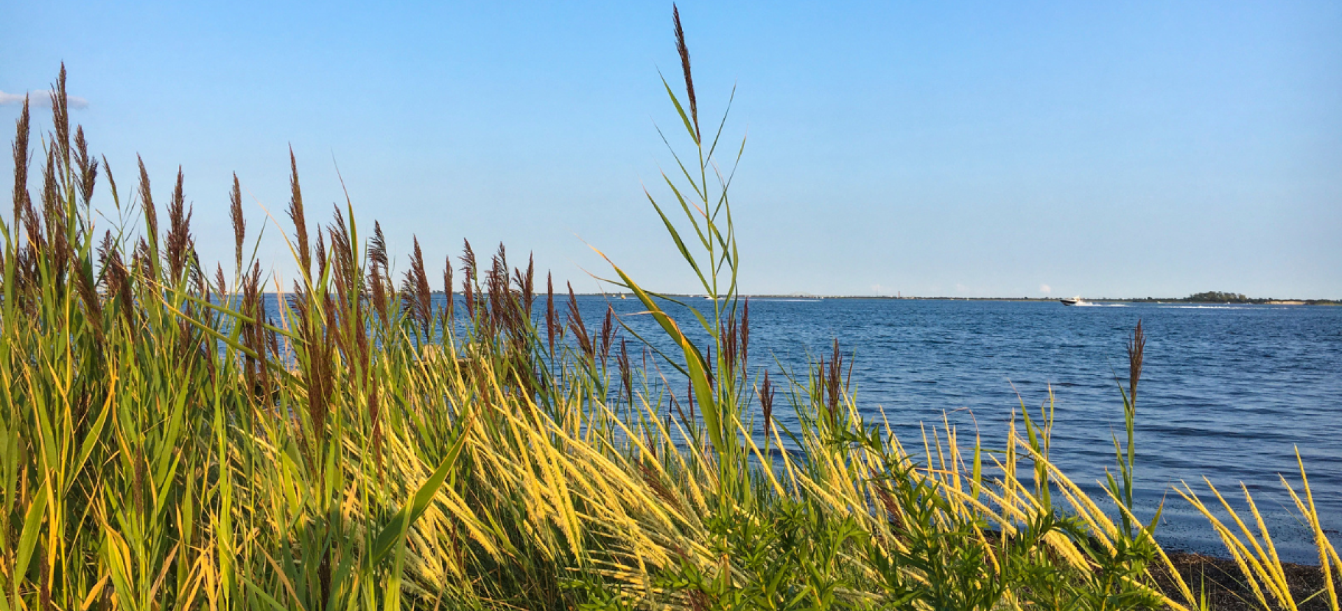 photo of the ocean 