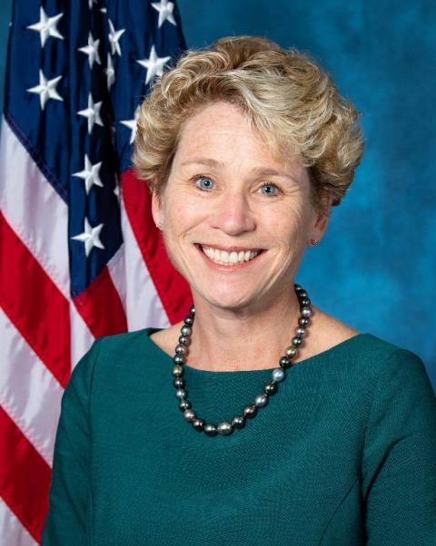 Congresswoman Houlihan Portrait